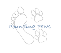 POUNDING PAWS Cardiff dog walking boarding day care